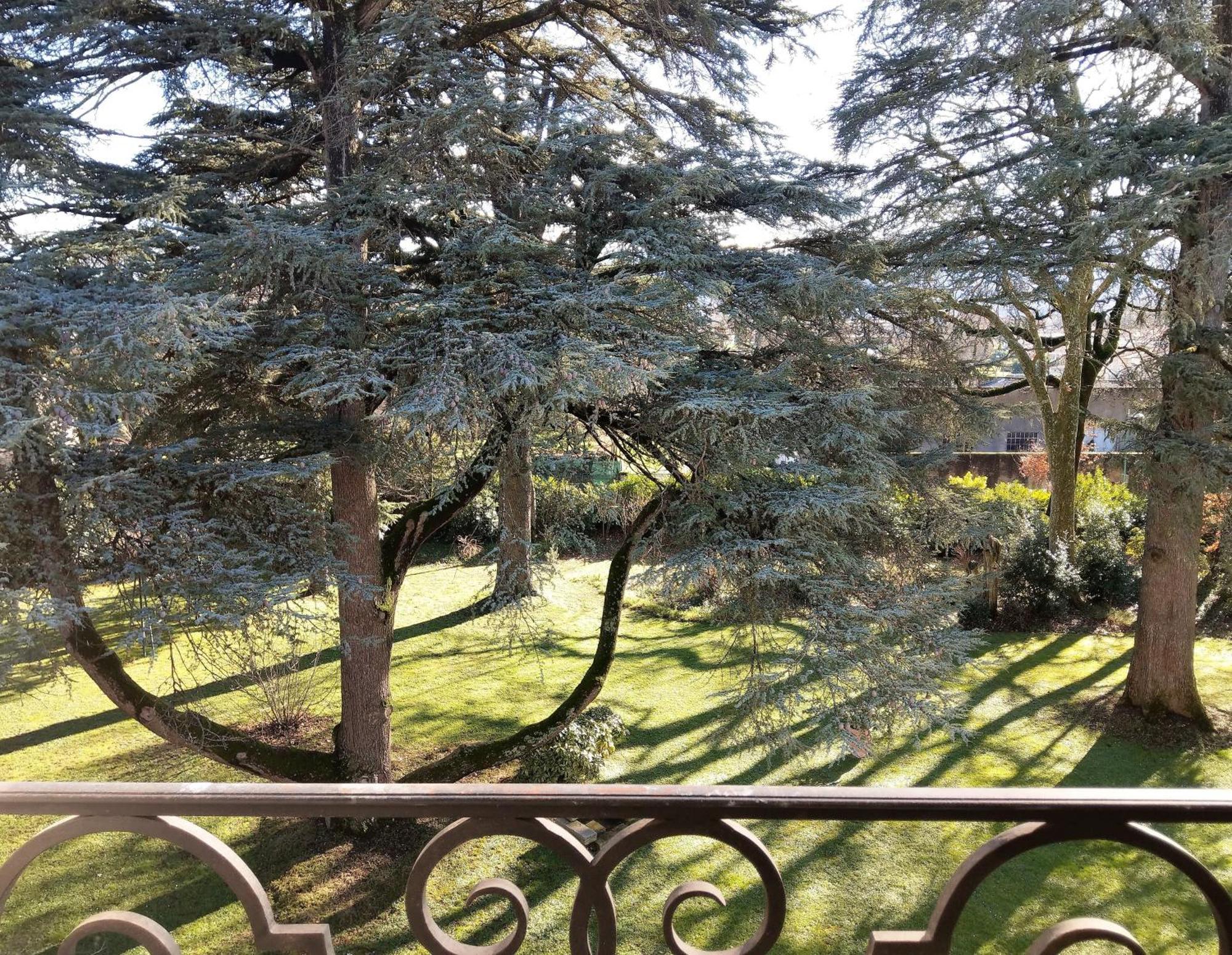 Maison D'Hotes Le Parc Labruguiere Phòng bức ảnh